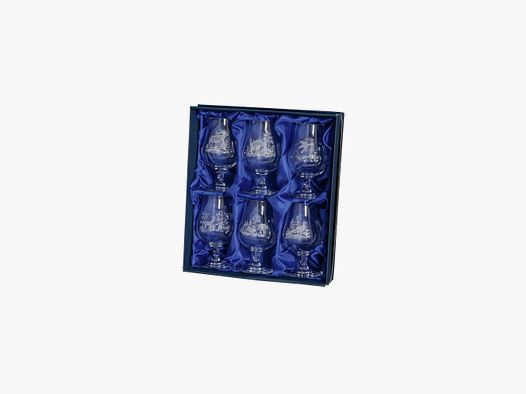 Set of 6 crystal spirit glasses