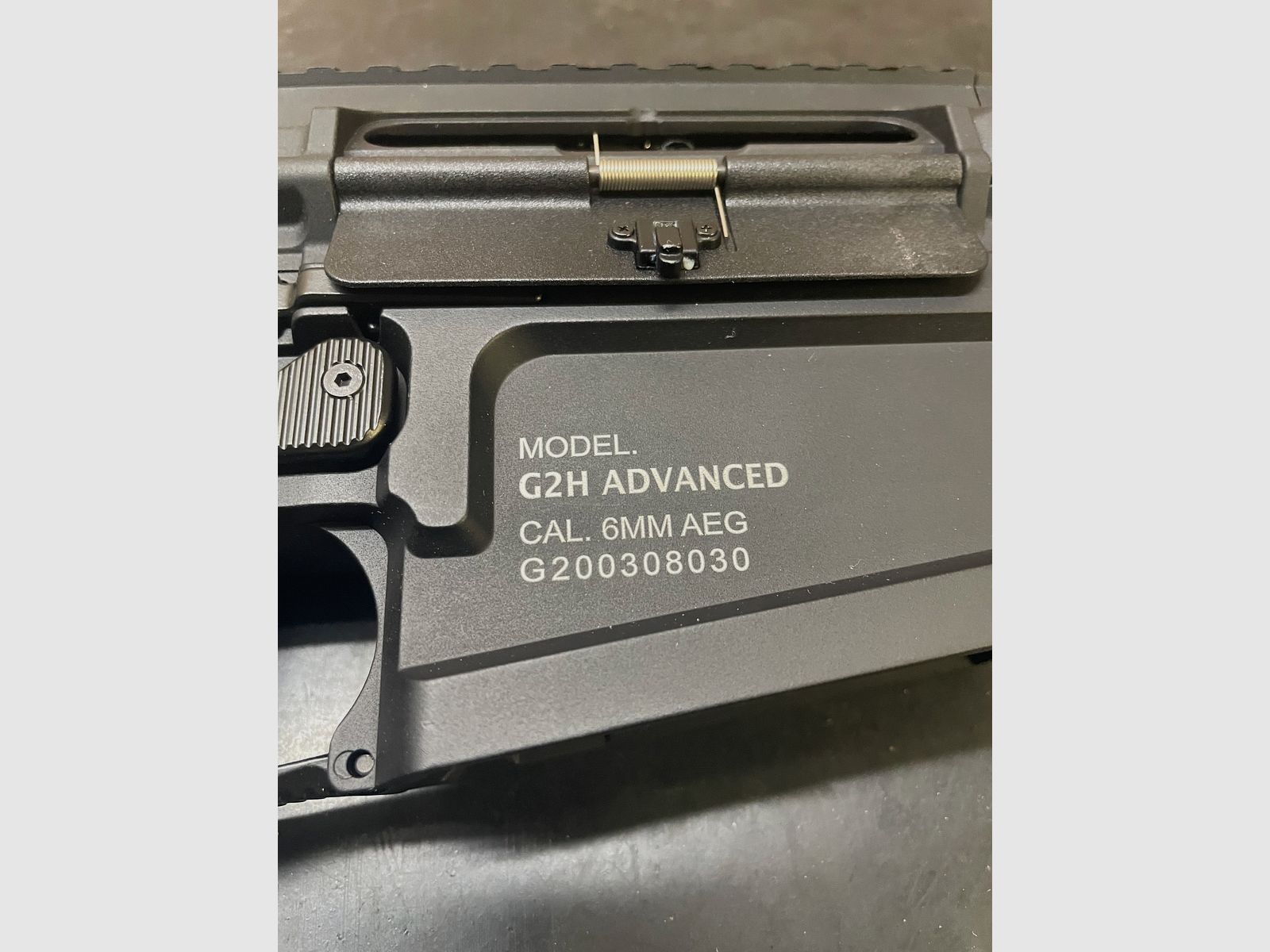 G&G TR16 SBR 308 Mk2 S-AEG