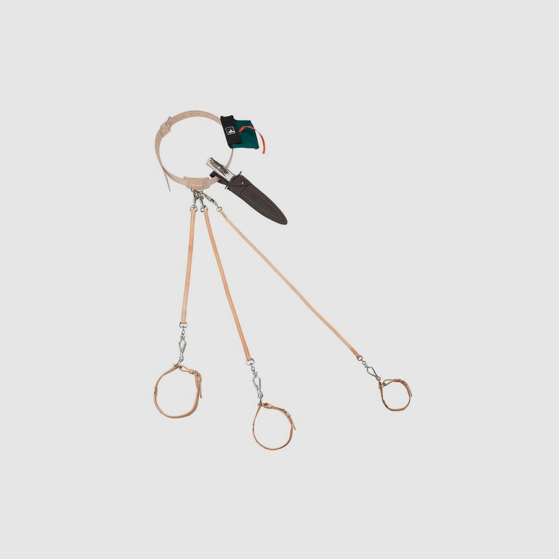 Dog leash