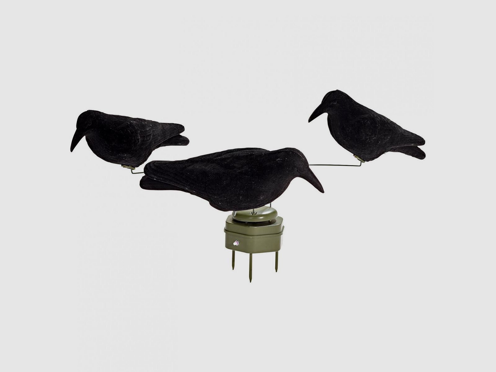 Crow Carousel