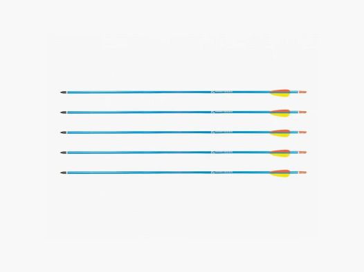 STRZAŁA POE LANG aluminum 30" sharp target point blue 5 pcs.