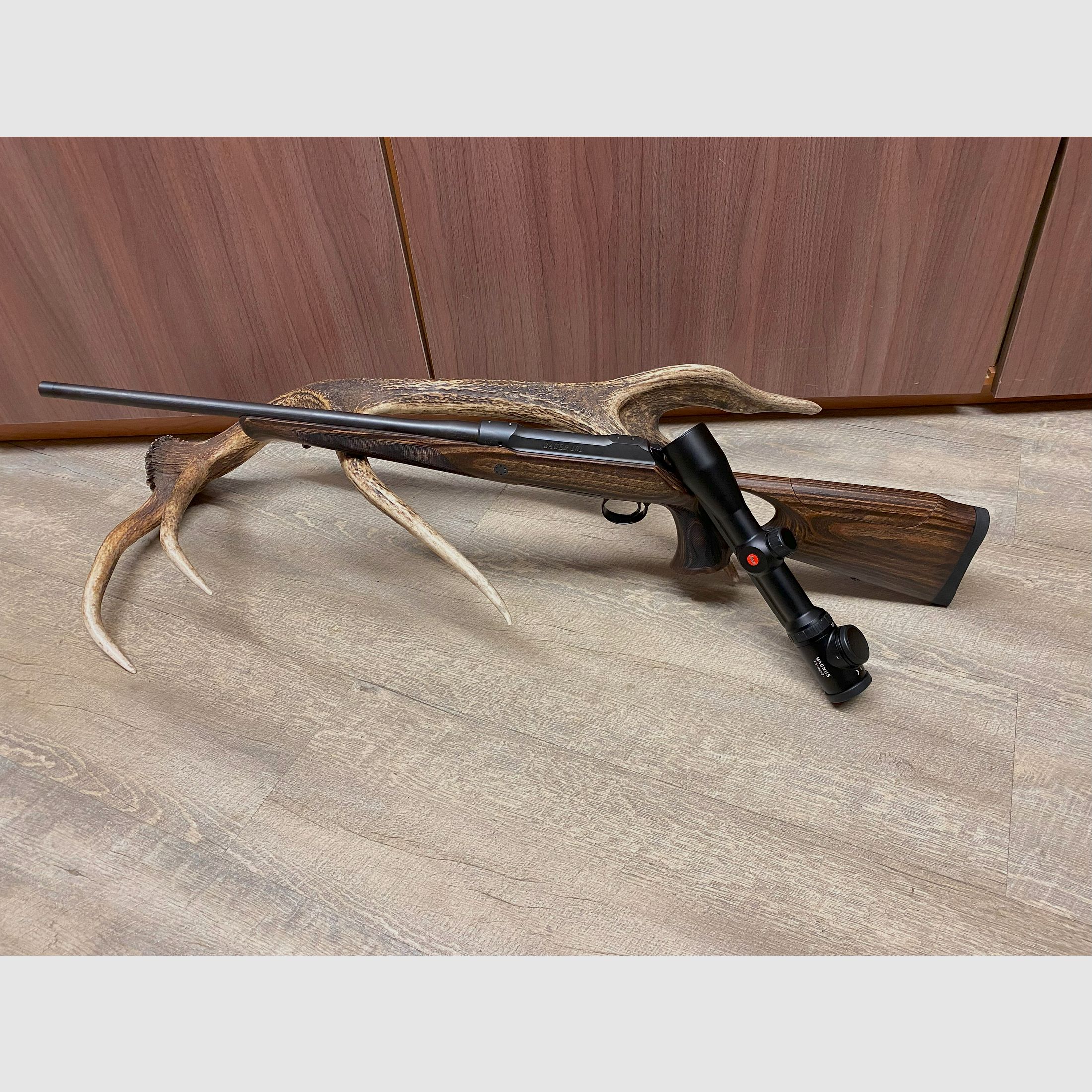 Sauer 101 GTI, mit Leica Magnus 1,5-10x42 i, mit Schiene