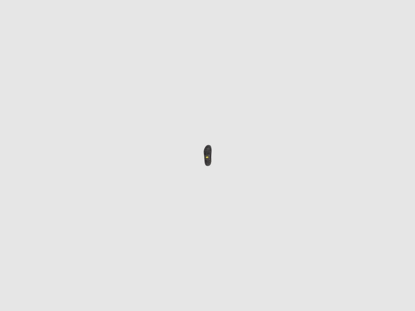 BOTA AKU JAGER EVO LOW GORE-TEX, Bild 5 von 6