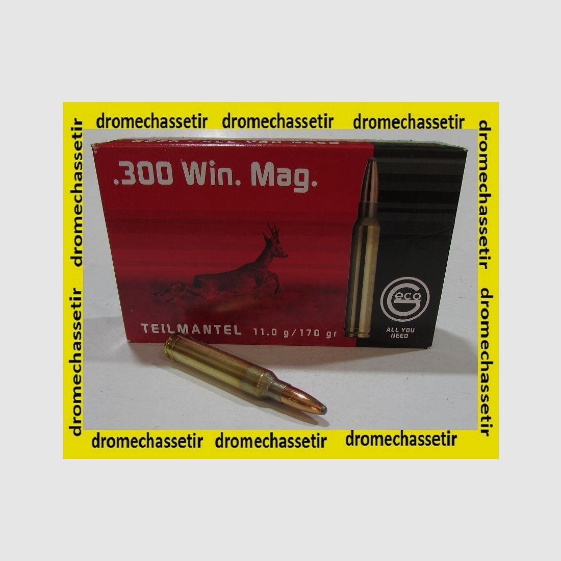 1 boite de 20 cartouches Geco, teilmantel (demi-blindée), 170 grains, calibre 300 Winchester Magnum, image 2 sur 2