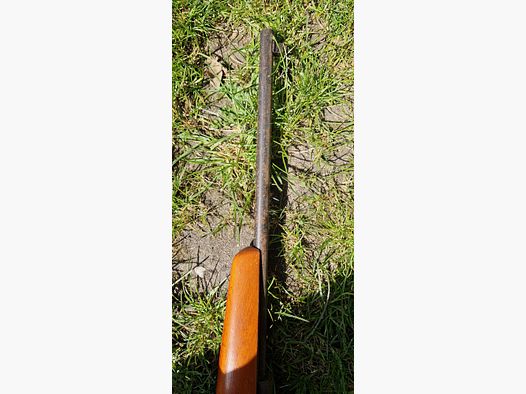 Luftgewehr Haenel Suhl 310