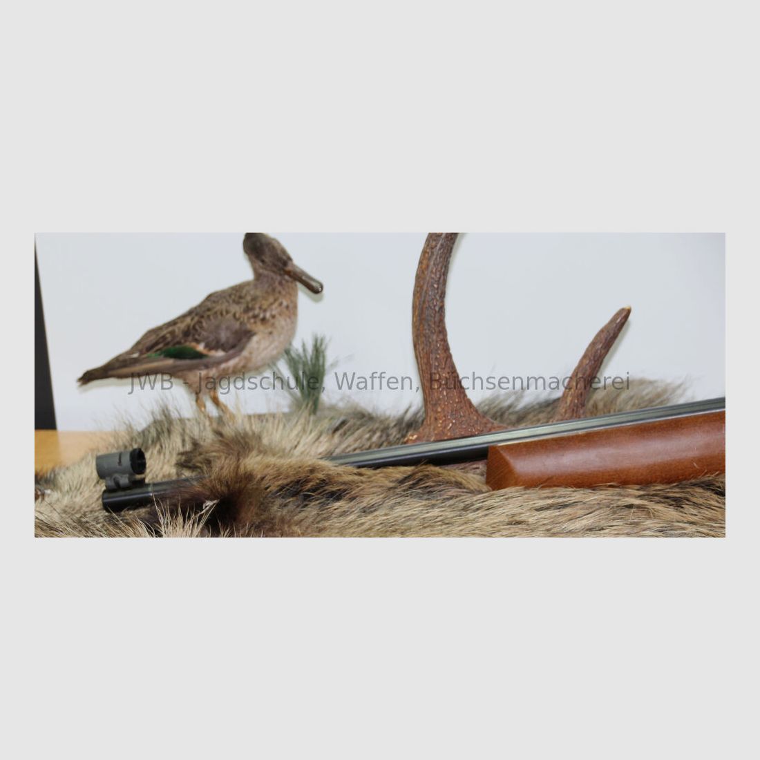 Anschütz 64 - .22lr