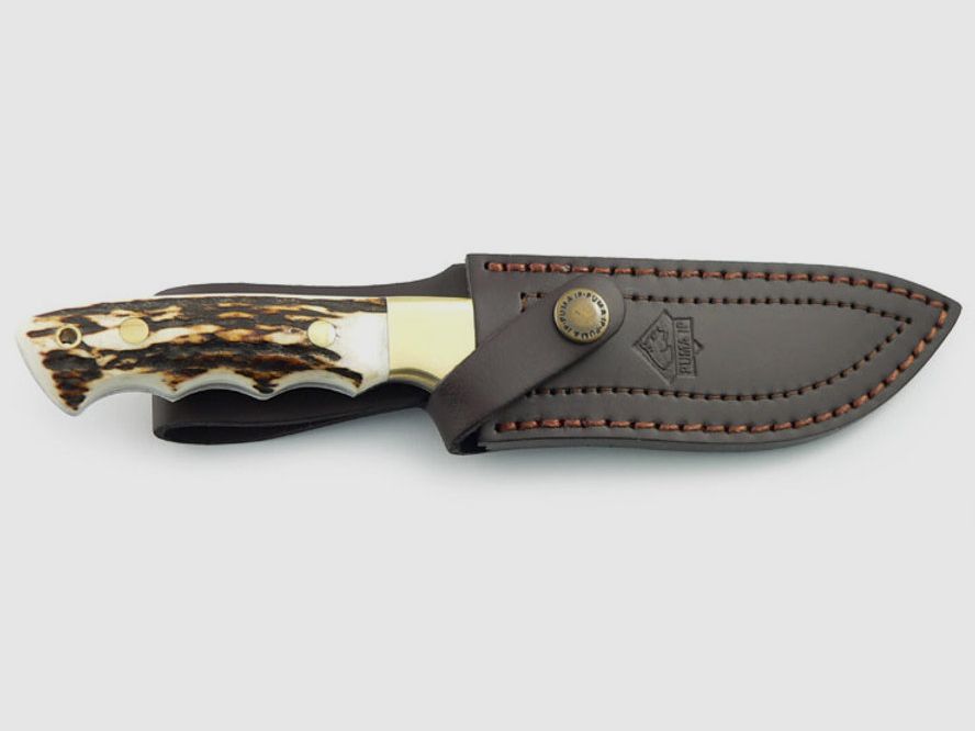 PUMA IP outdoor, stag