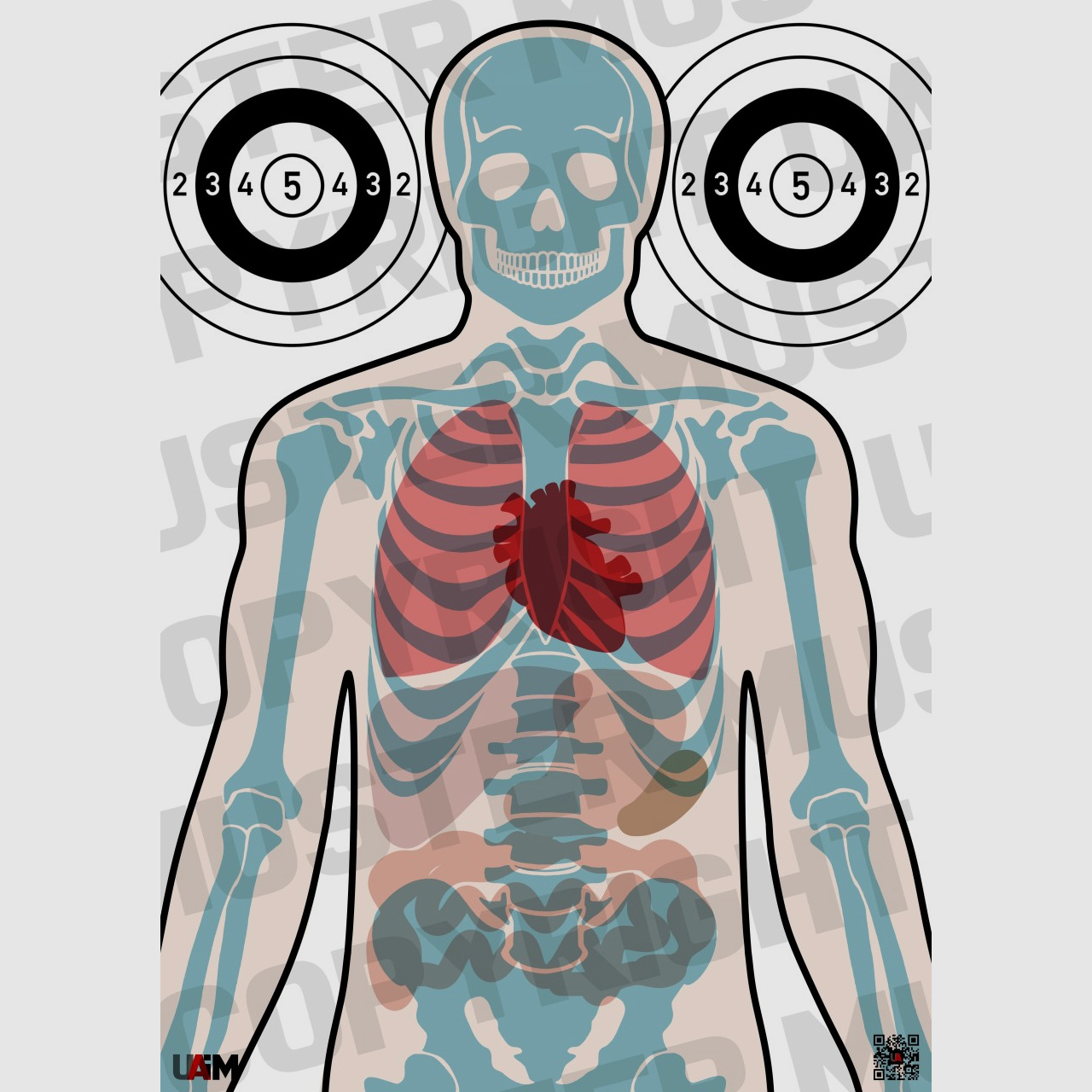 Anatomie Target DIN A1 Detaillierte Zielscheibe fr przises Training von B...