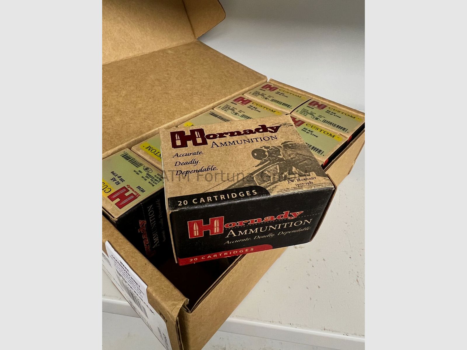 Hornady	 50AE 300 gr XTP, Bild 1 von 2