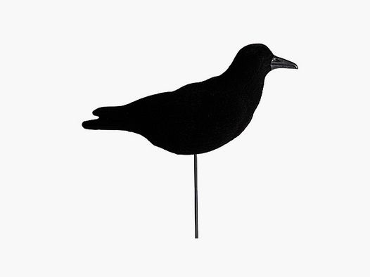 Forme de corbeau floque mobile Stepland