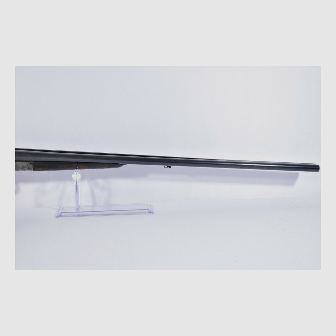 Bayard -