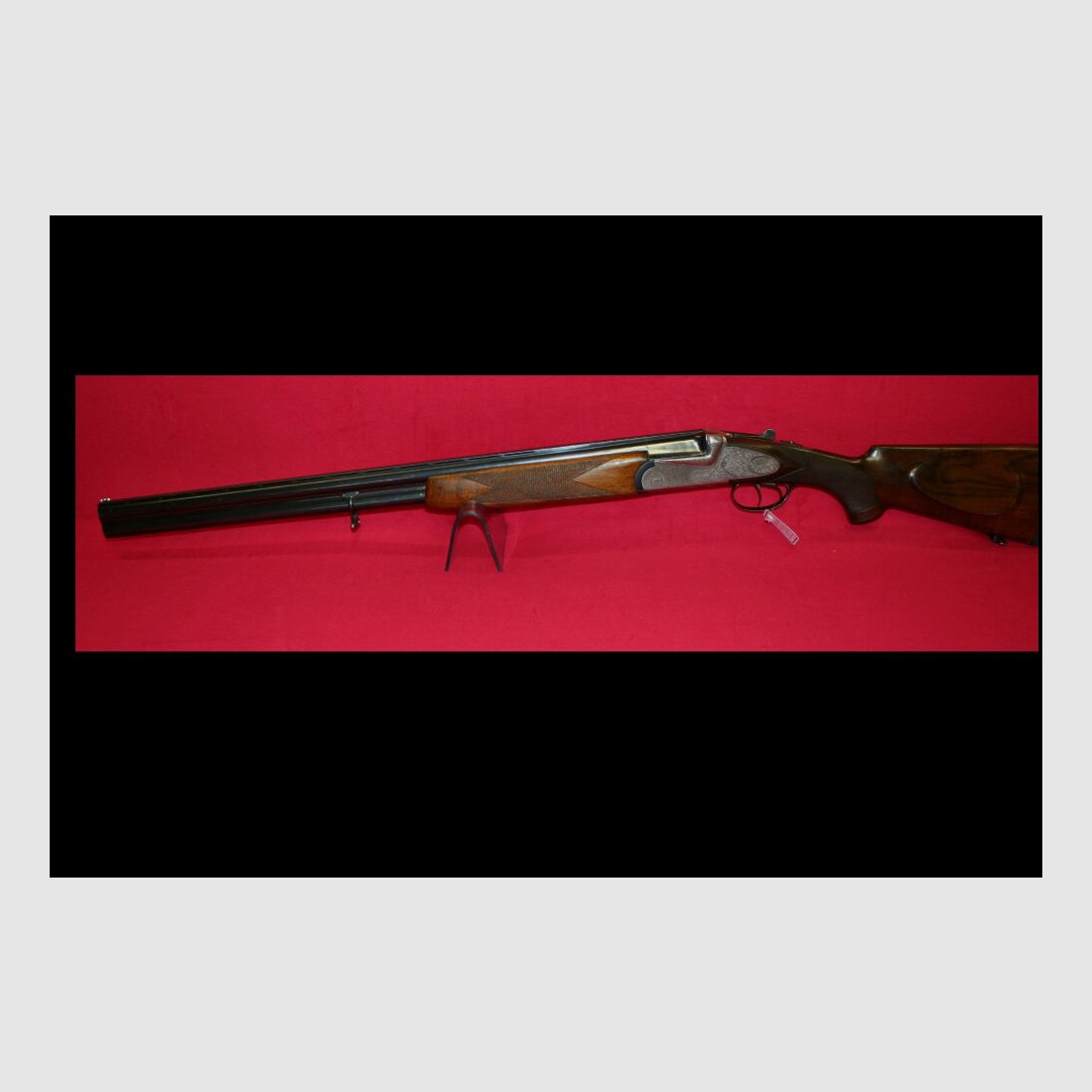 Turin mit Seitenschloss