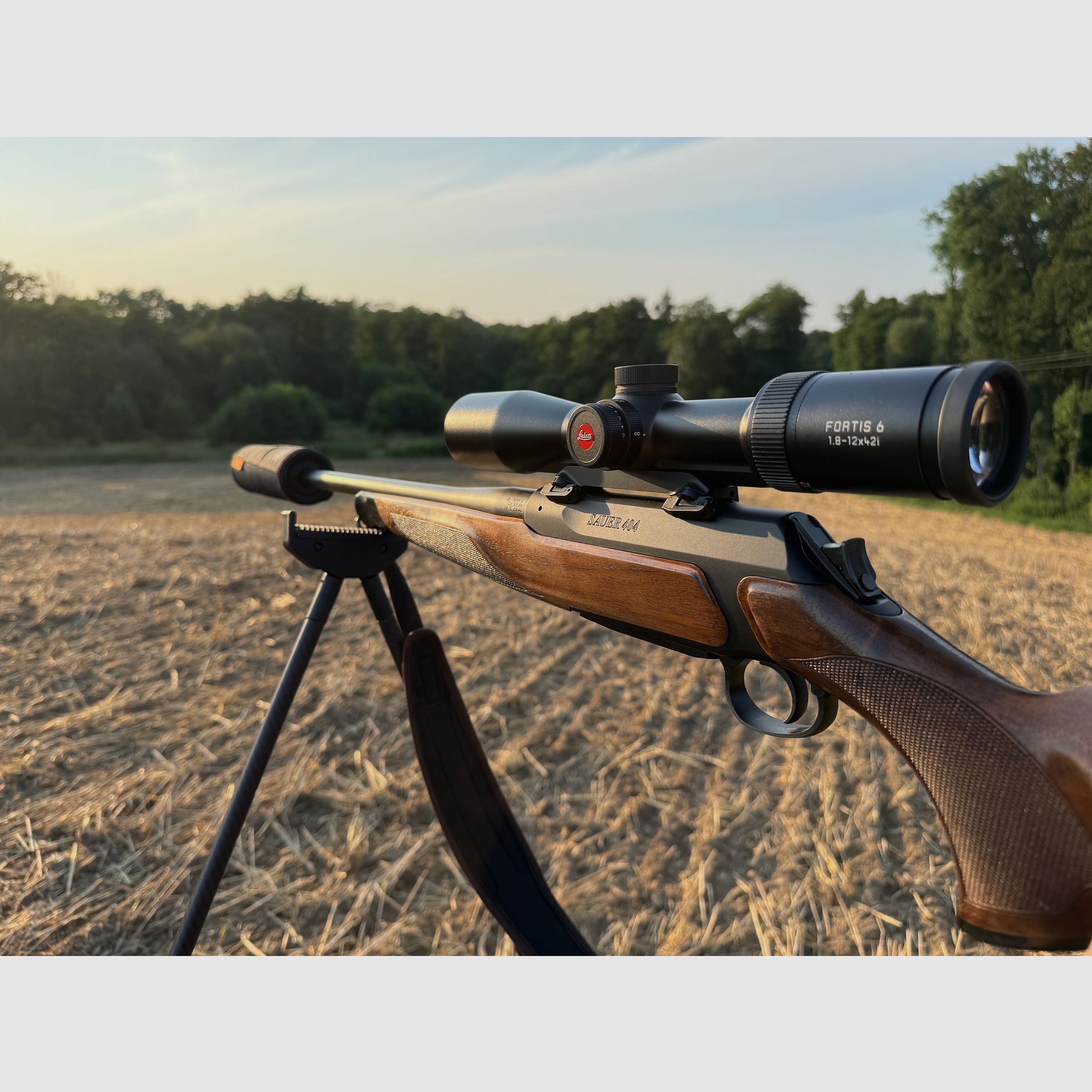 Sauer 404 Classic repeating rifle – caliber .308 – well-maintained condition