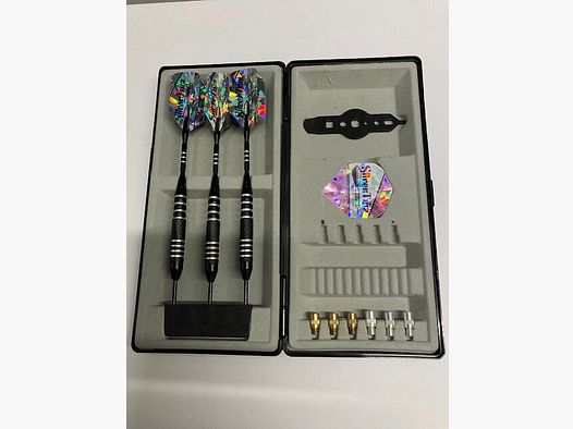 Silver Trim Darts Trophy 20 GRMS Approx Steel Point