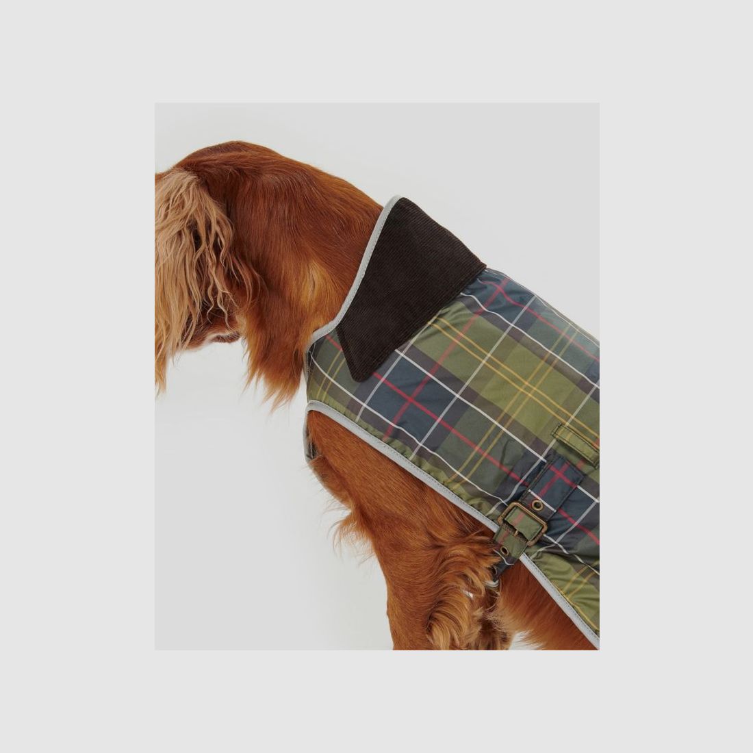 Barbour Hundemantel Tartan Waterproof, Bild 6 von 10