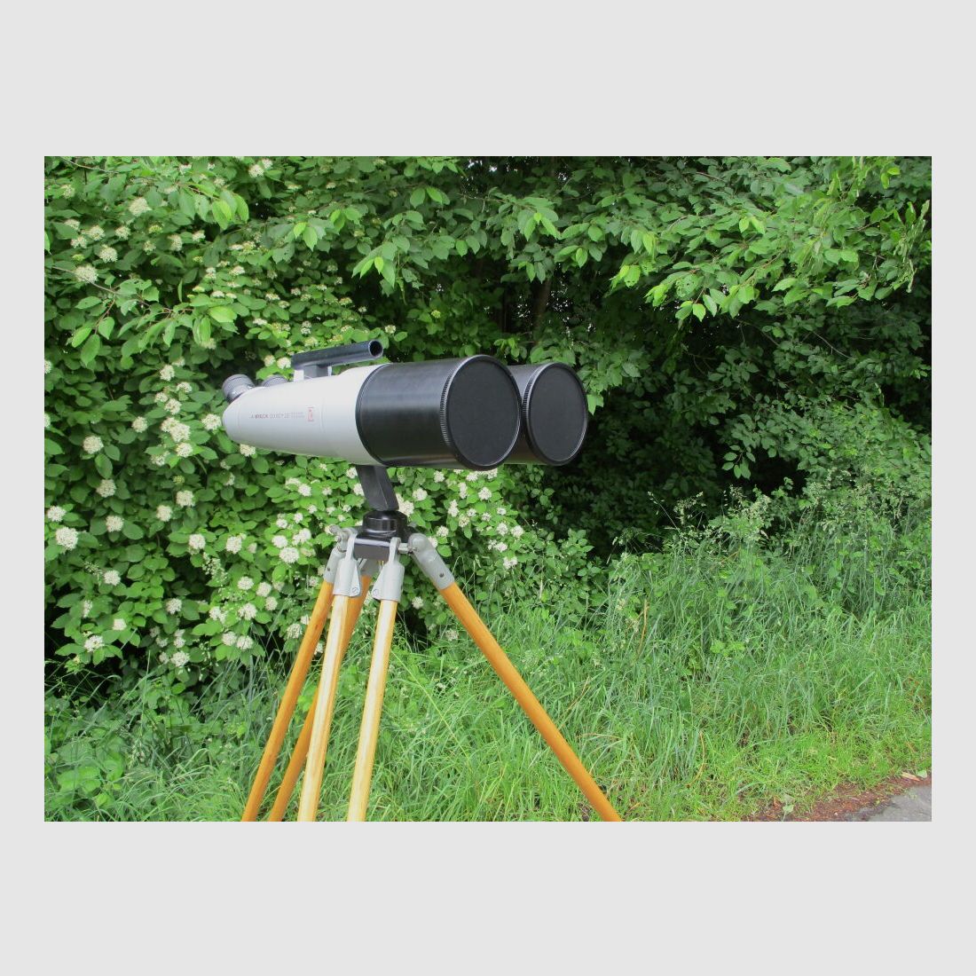 Miyauchi Mod. BJ100i