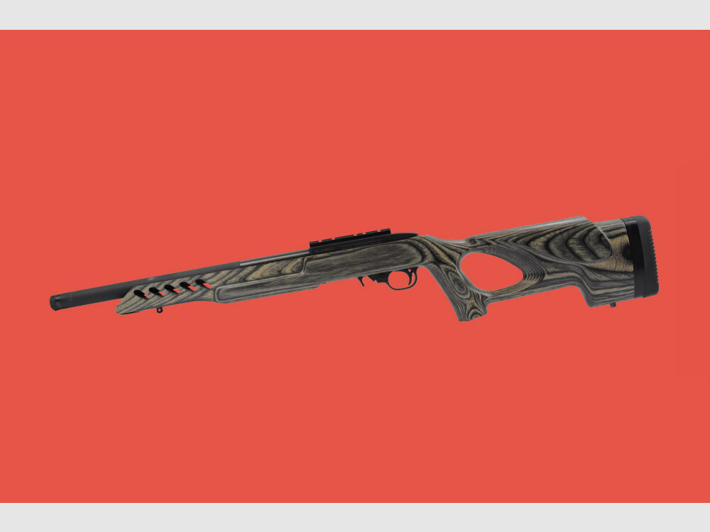 Ruger 10/22 Target