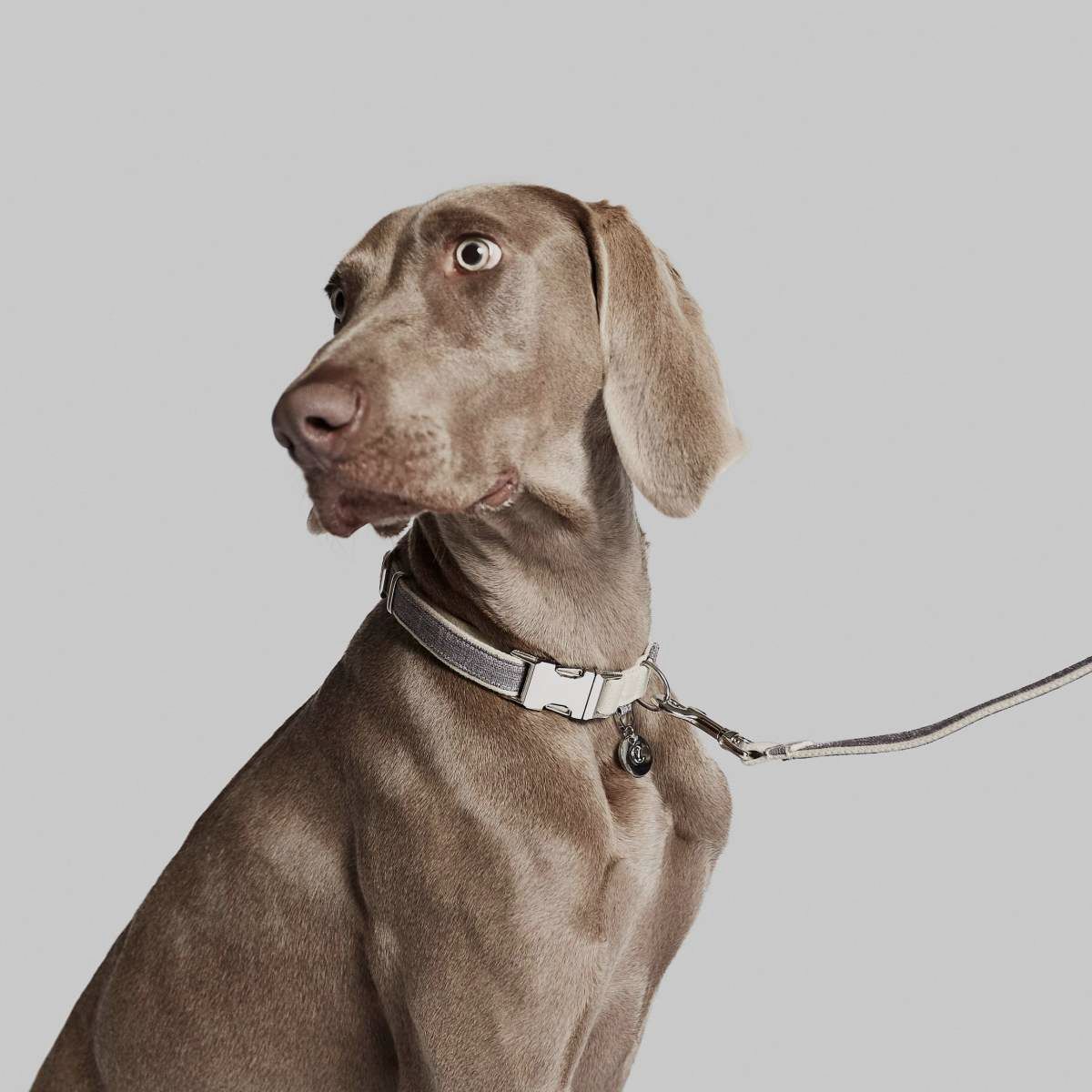 Halsband Coco, Bild 4 von 5