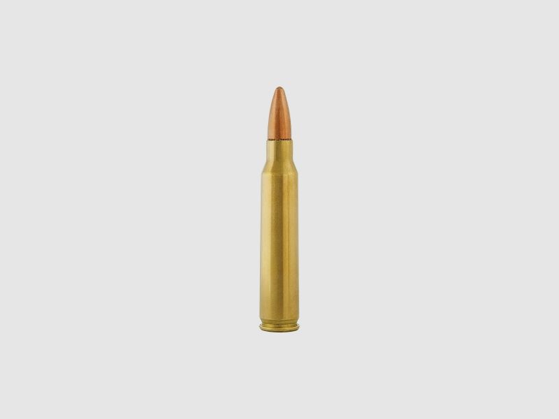 Aguila Standard .223 Rem. 55GR FMJ 50 Patronen