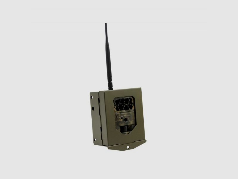 Sixty-degree steel housing for wildlife cameras