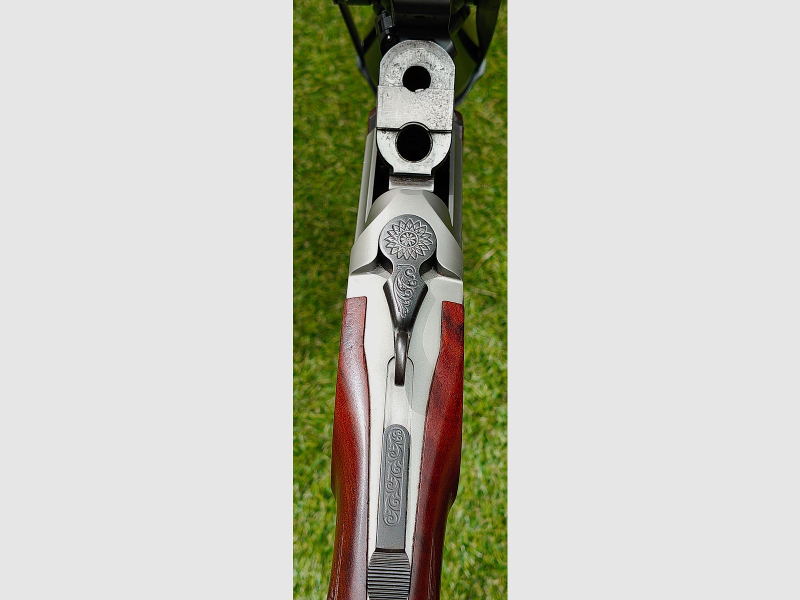 Blaser BS 95 6,5x57 & .222rem