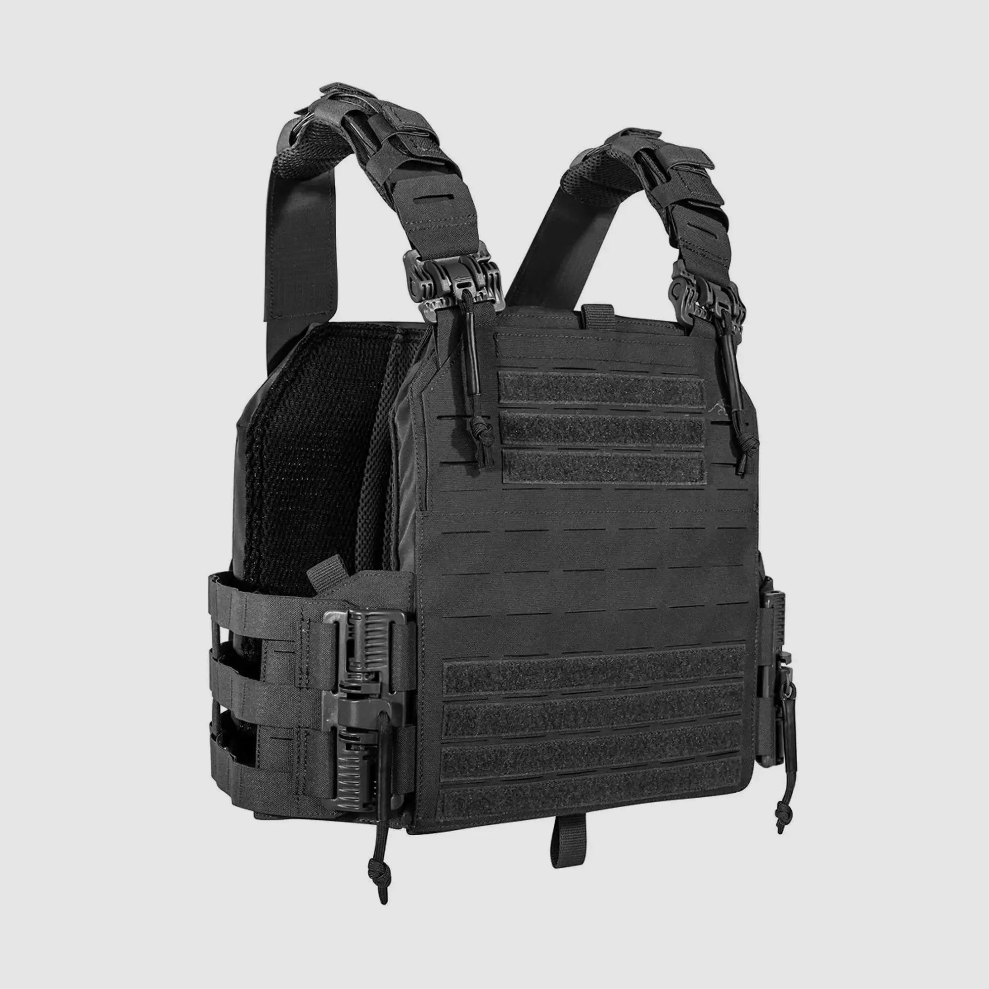 Tasmanian Tiger Plate Carrier QR LC