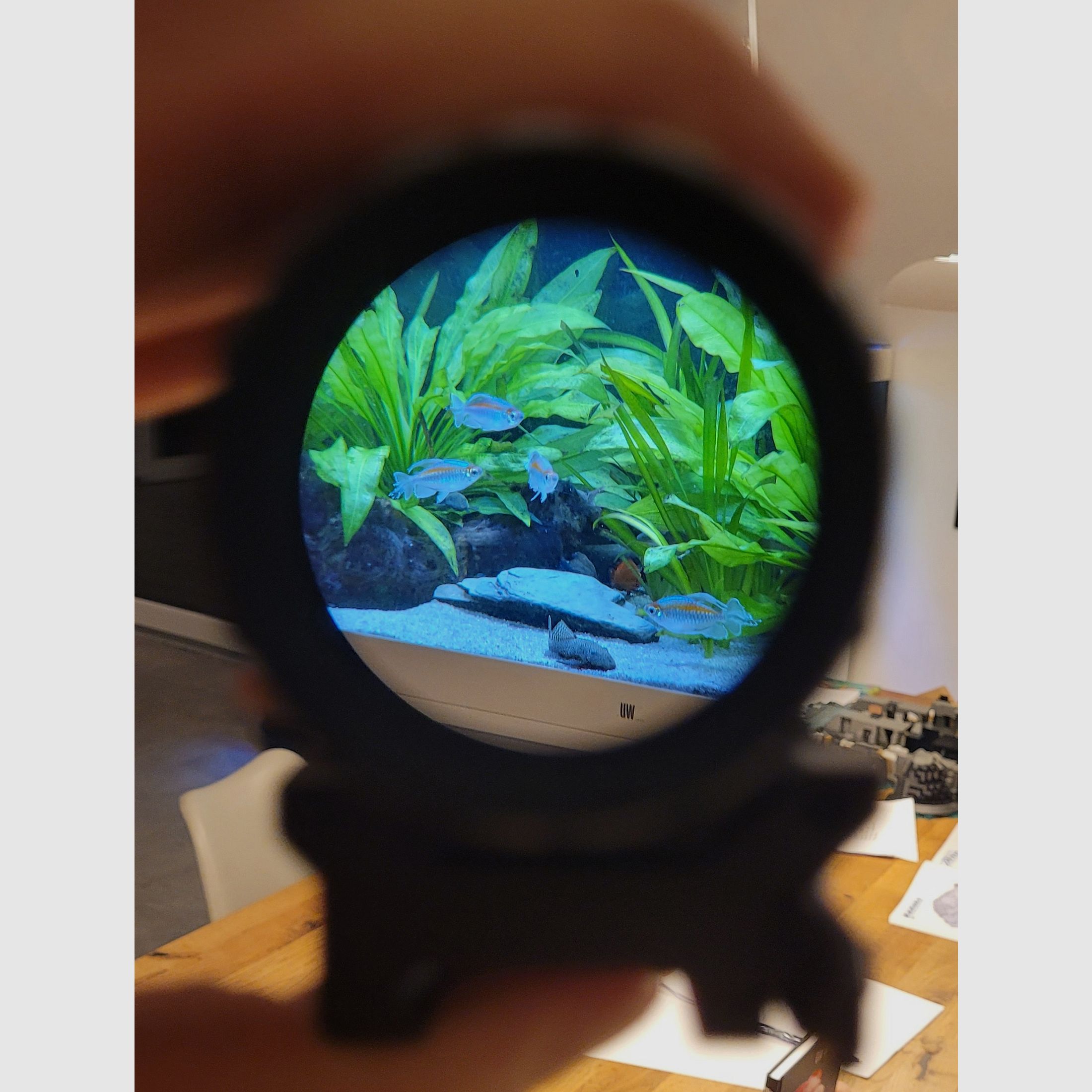 Falke Magnifier B3X LE