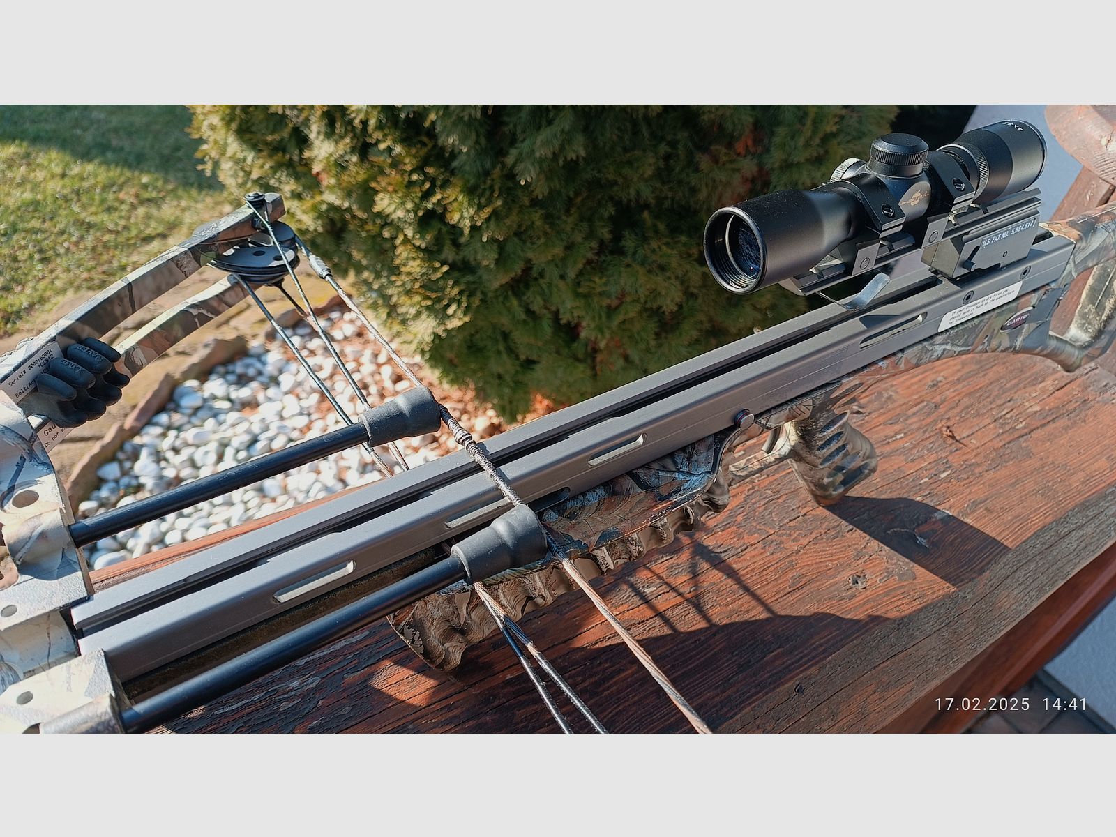 Darton Serpent Ltd 2 Armbrust