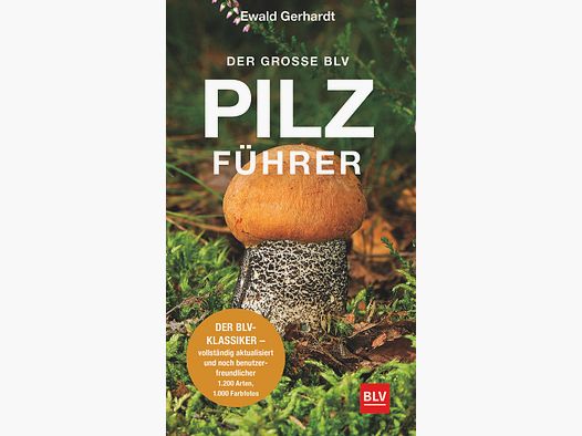 Le grand guide des champignons BLV