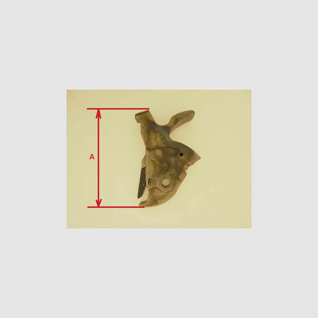 HUND TAURUS, Bild 4 von 6