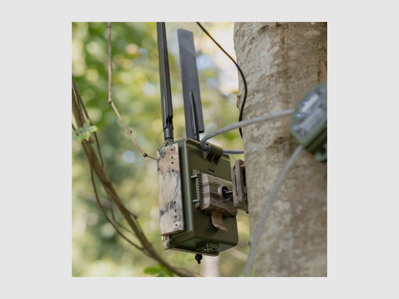 DÖRR Haltesystem Multi für SnapShot camouflage