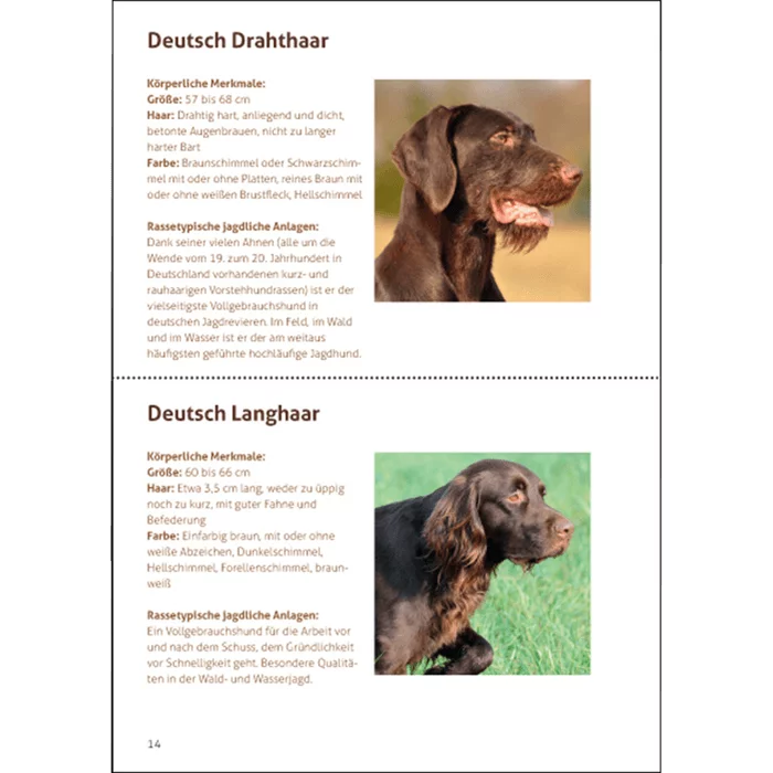 Hondenbrochure "Onze Jachthonden" - momenteel in herziening, afbeelding 2 van 5