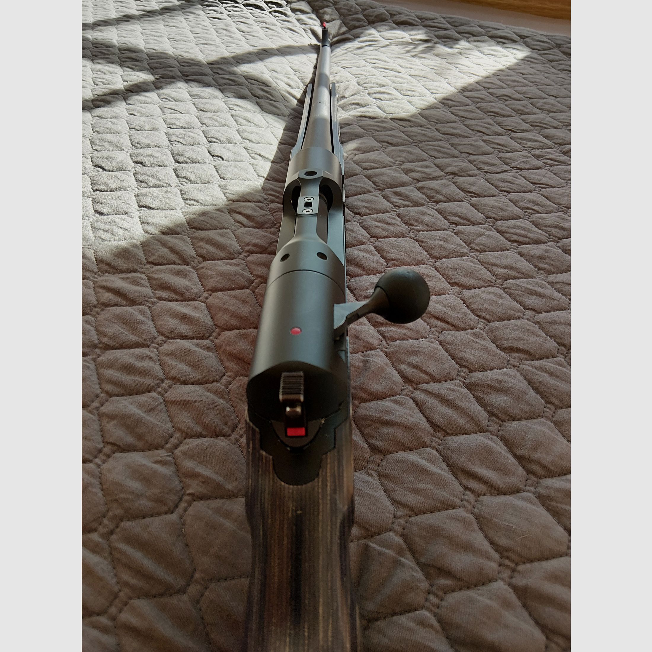 Strasser RS Solo Tahr