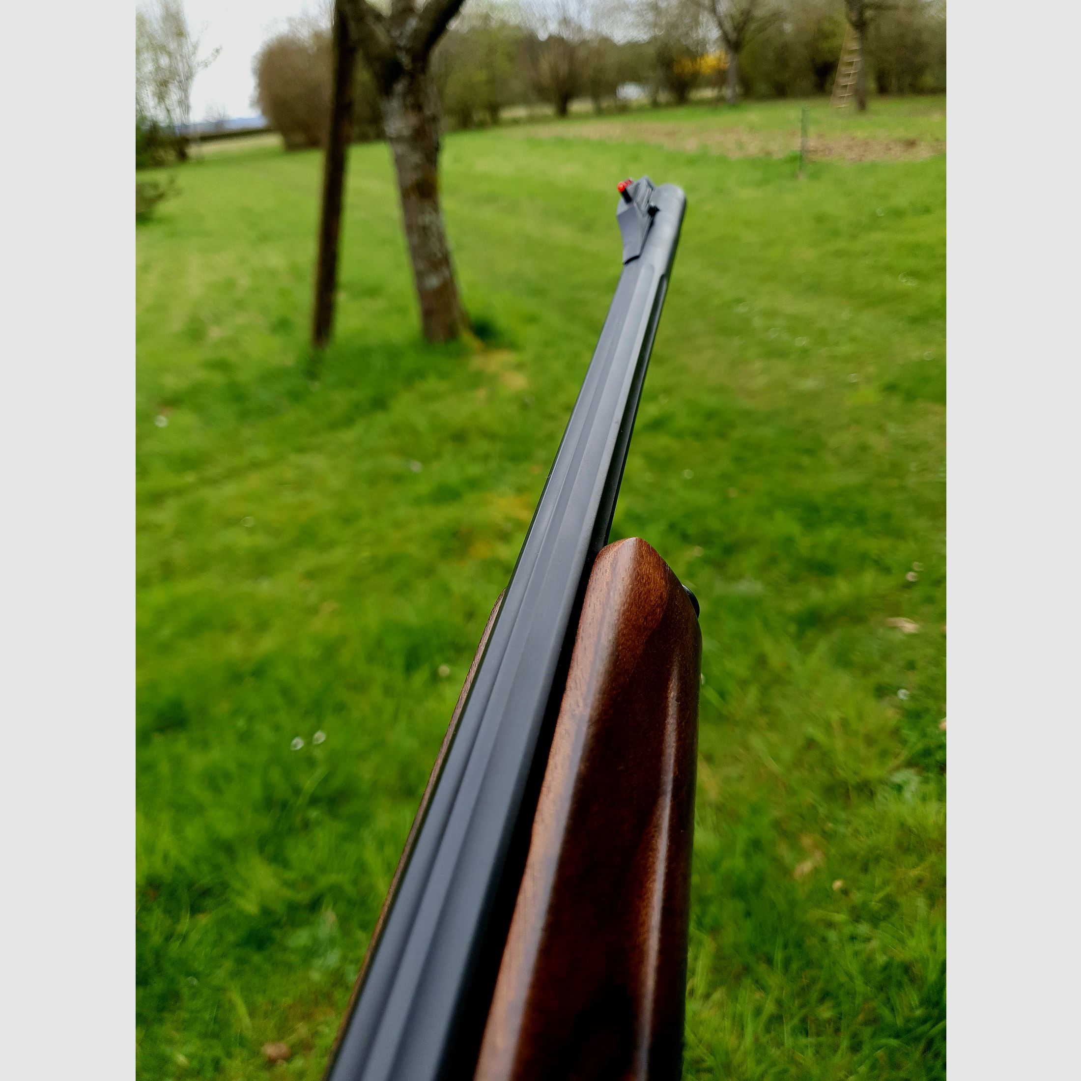 Rifle Browning BAR 4x Platinum 30-06, semiautomática + ZF Kahles Helia, HK 4+