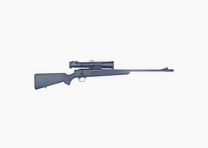 Blaser R93