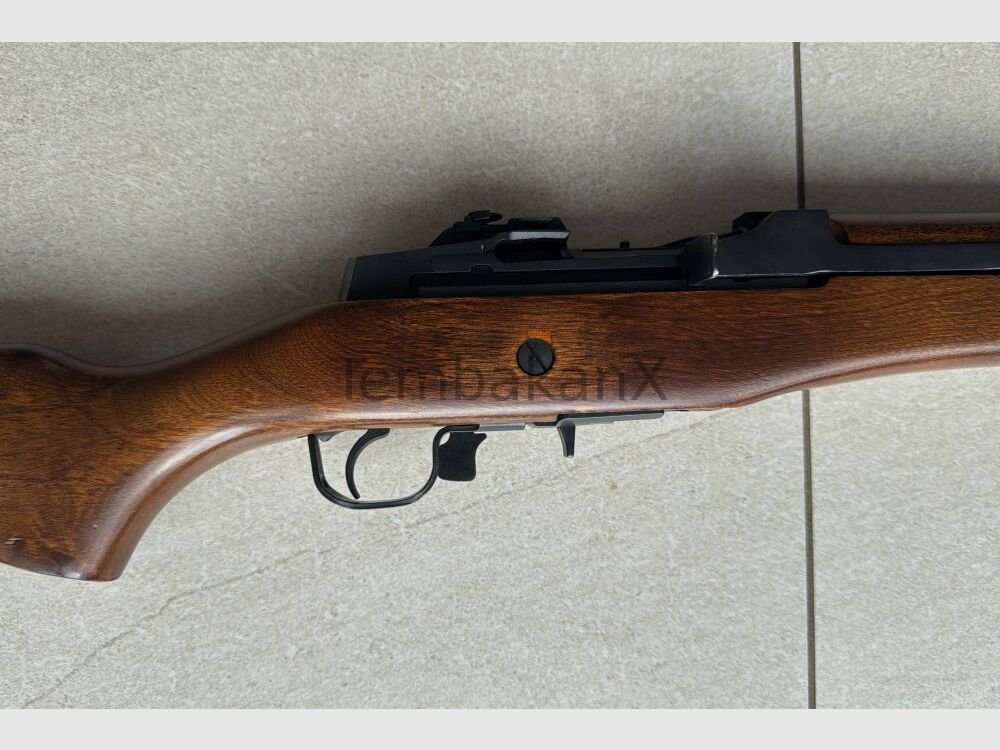 Ruger Mini Ruger 14 .223Rem