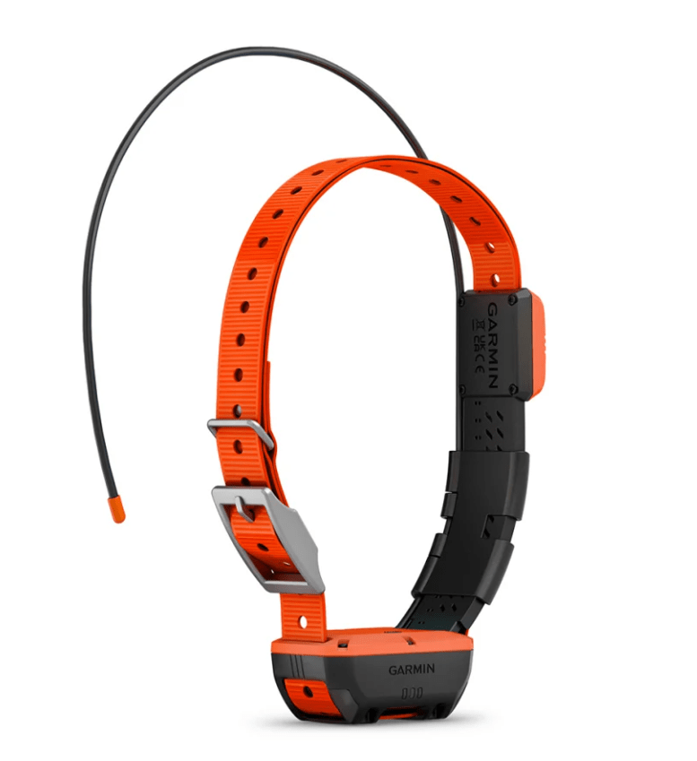 Bundle di localizzazione canina Garmin: Garmin Alpha 300i K + T20 K + Topo Germania V9 Pro + Fieldbag, immagine 4 di 5