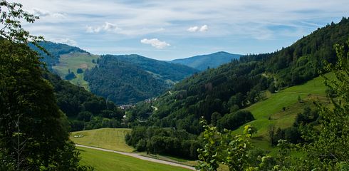 Jagdzeiten Baden-Württemberg