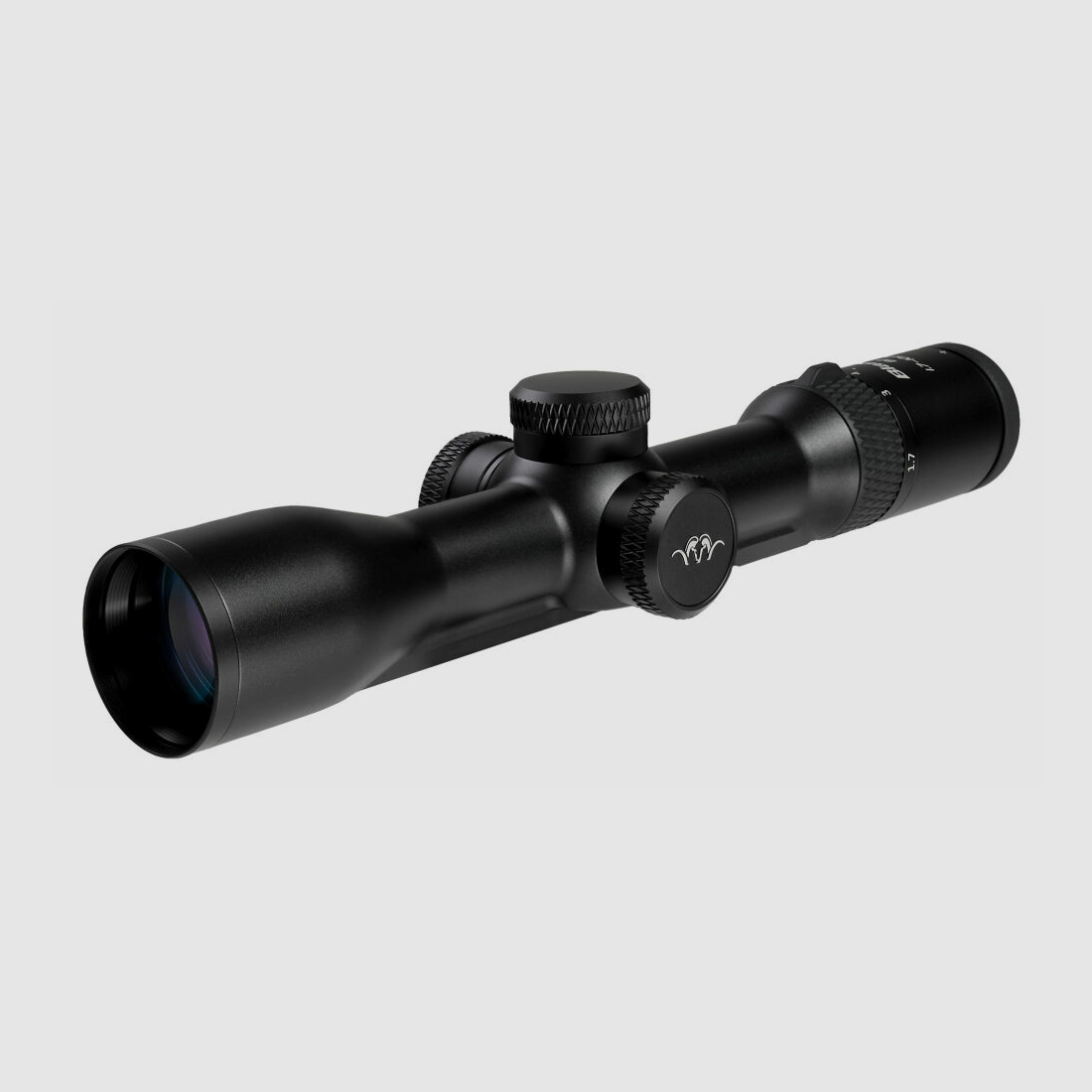 BLASER Blaser R8 Professional 2.0 Black/Brown .308 Win + B2 1.7-10x42 iC S