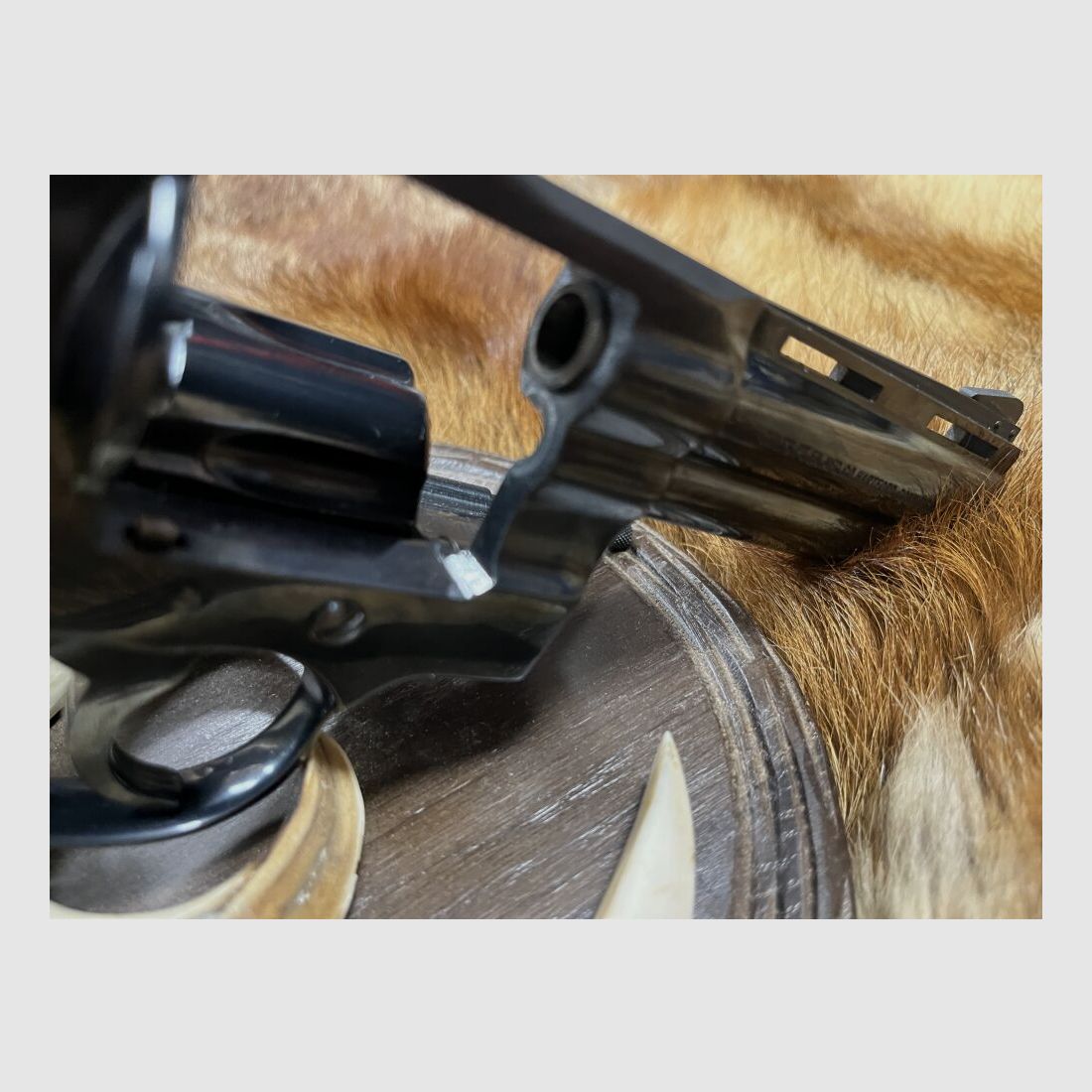Colt Python