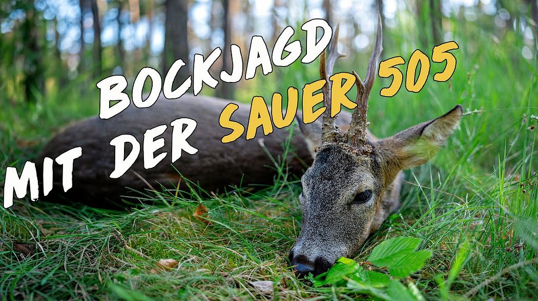 Bockjagd mit der NEUEN Sauer 505