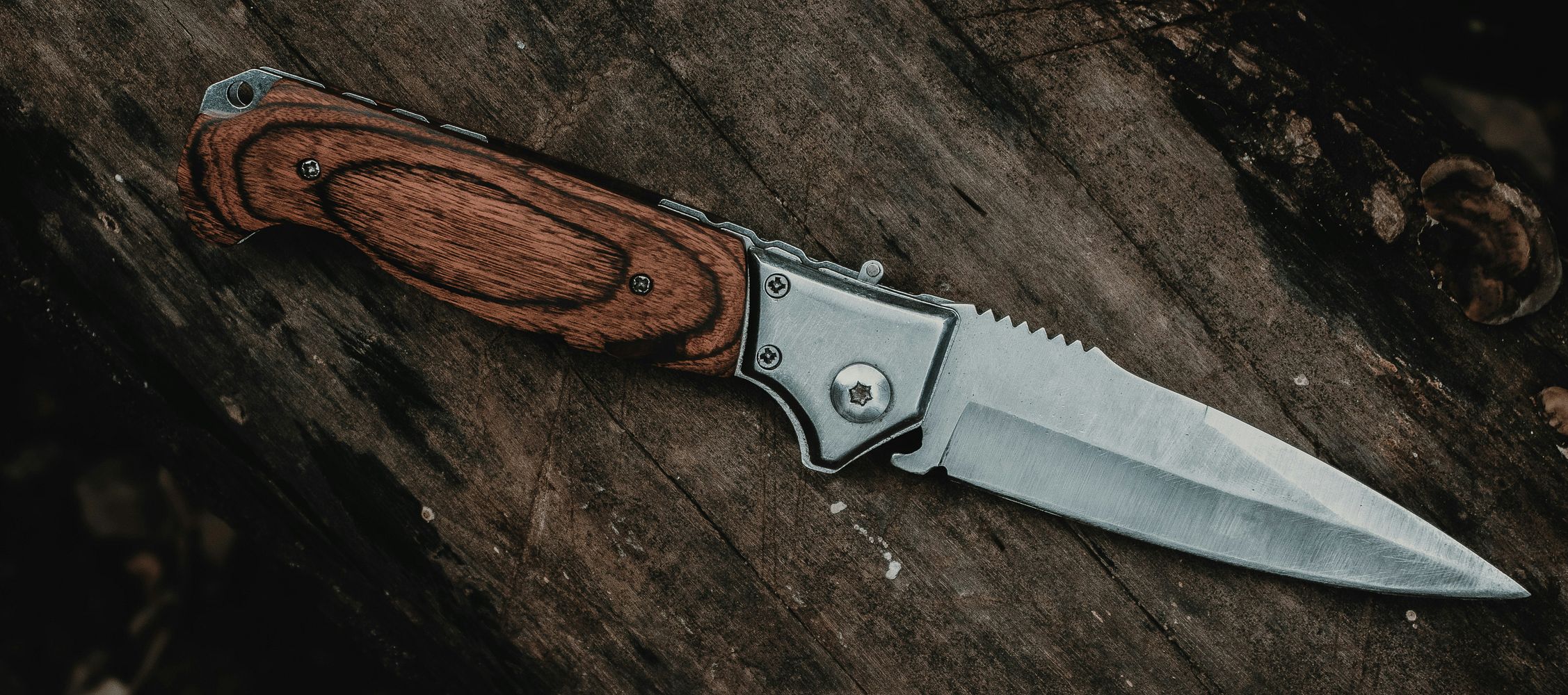 The Best Knives for Fishing Trips