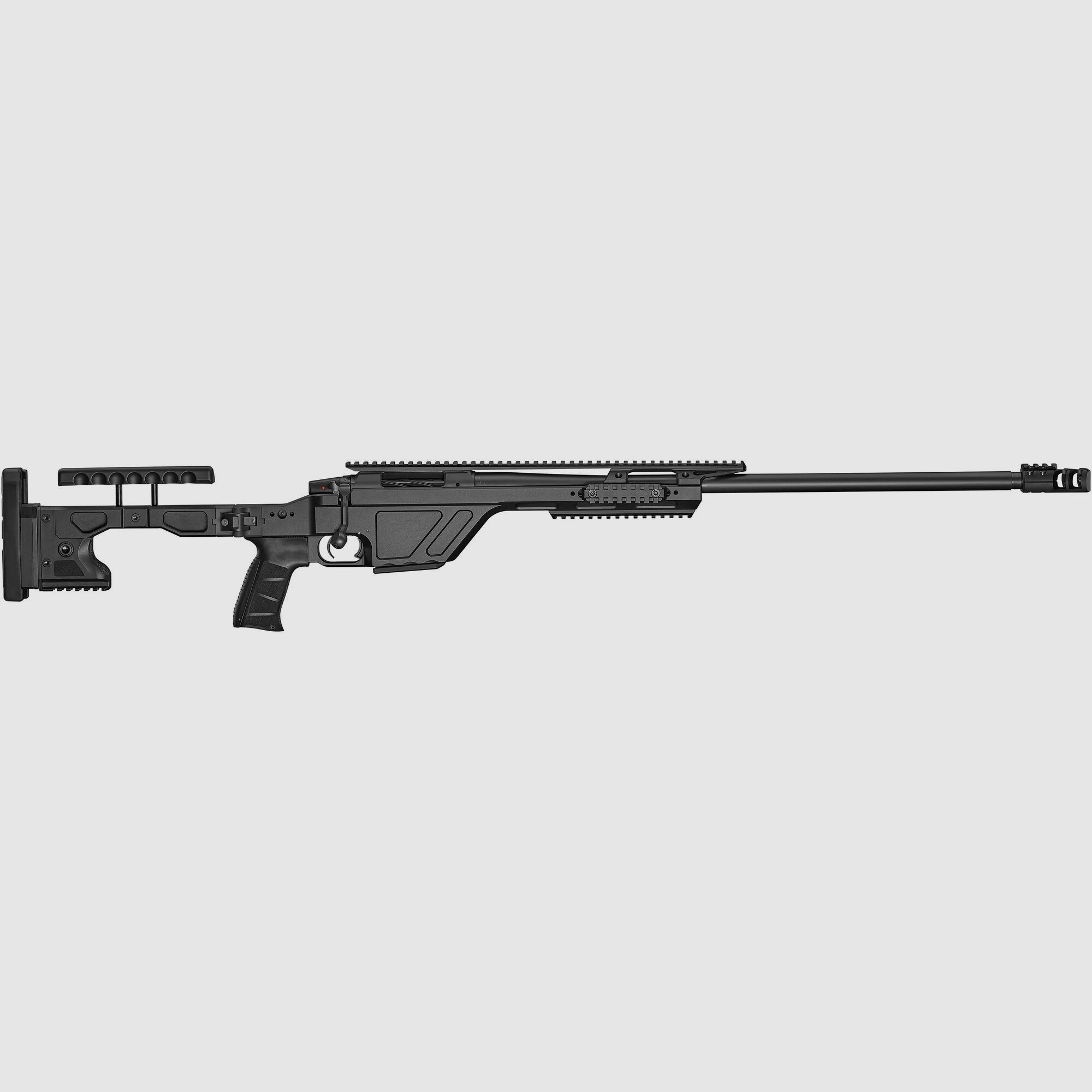CZ Tactical Sniper Rifle Fucile a ripetizione