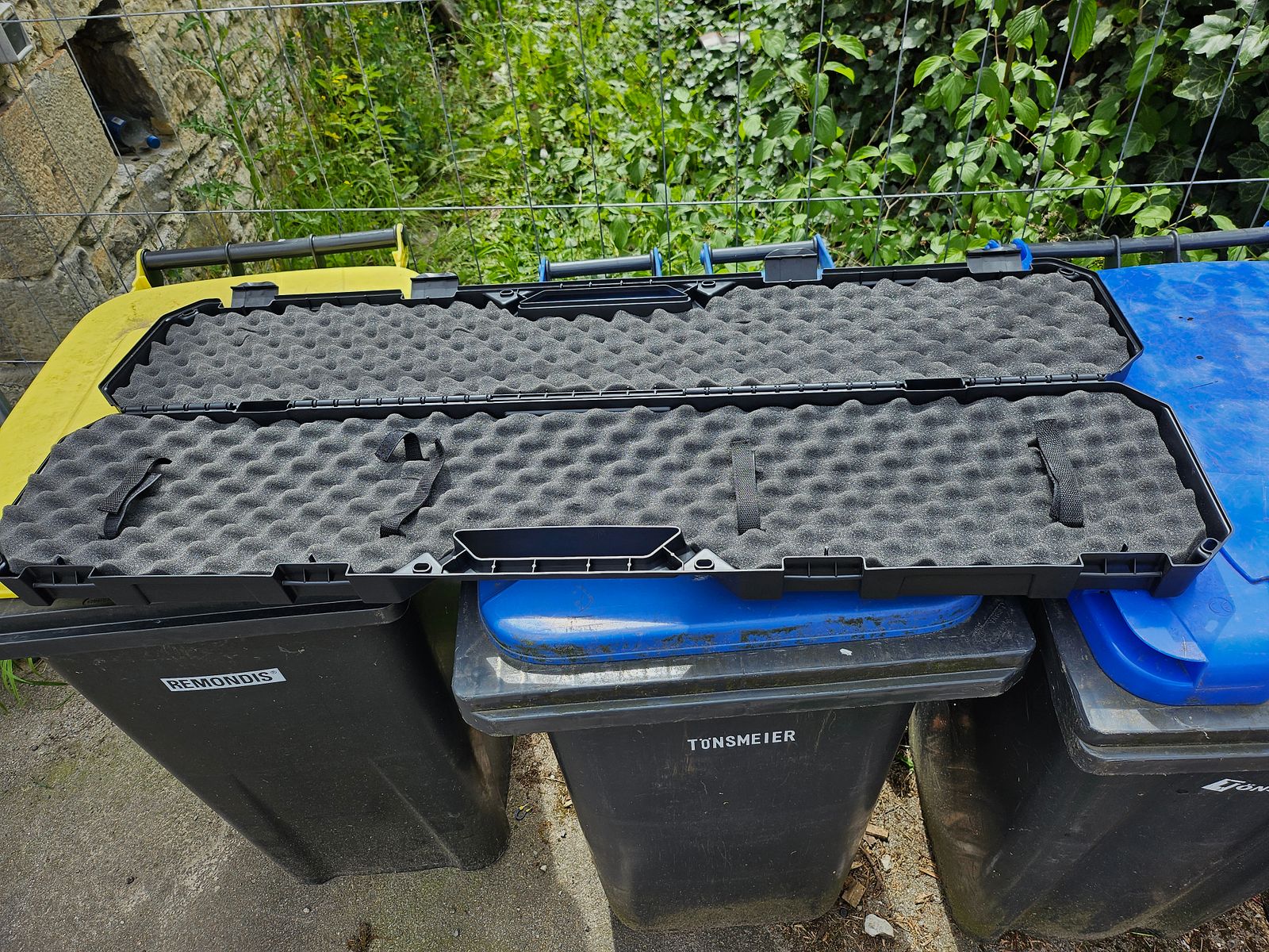 Ruger gun case
