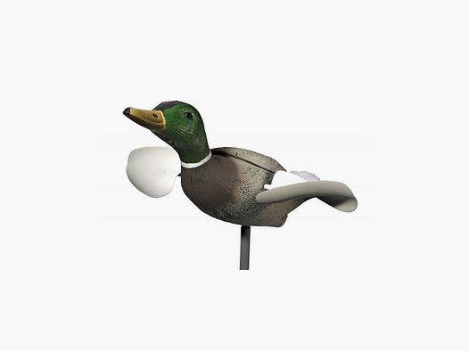 MÄNNLICHE STOCKENTE MIT DREHFLÜGEL IN PAUSE
