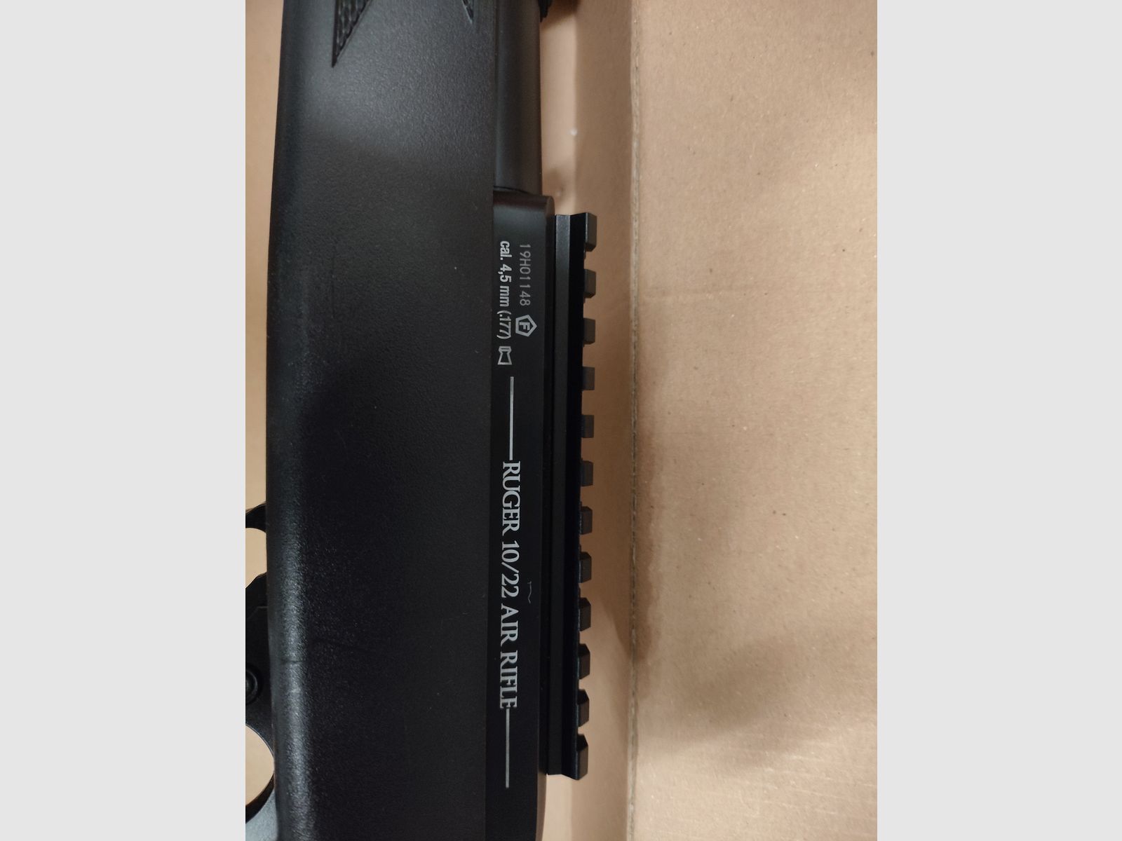Ruger 10/22 Co2
