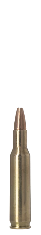 Patroon NORMA 222 REM 55GR VERMIN XTREME, afbeelding 3 van 3