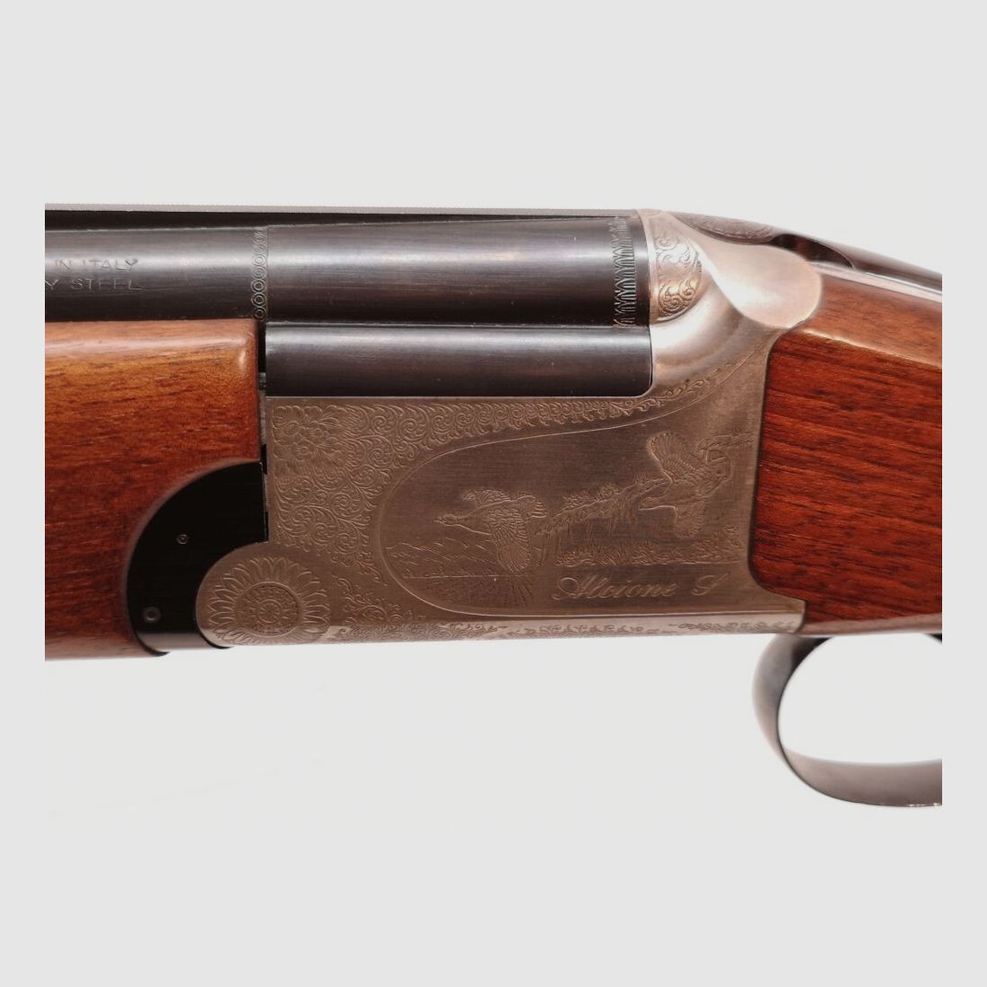 Franchi Alcione (AL)