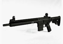 Tippmann Arms M4-22 LTE-GS Sport