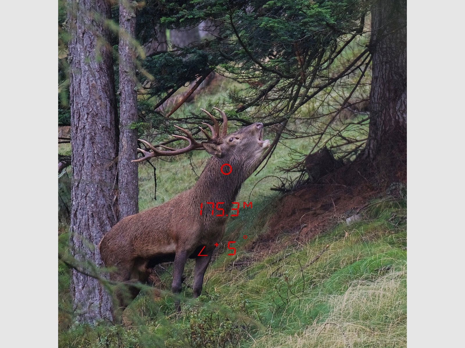 GPO Rangeguide™ 2800 8x32 Entfernungsmesser